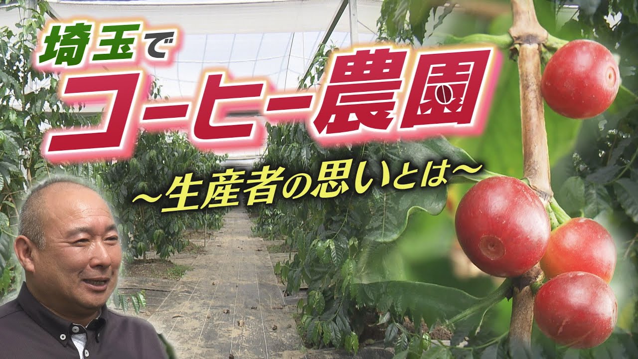 【報道特集】埼玉でコーヒーの栽培！？～生産者の思いとは～