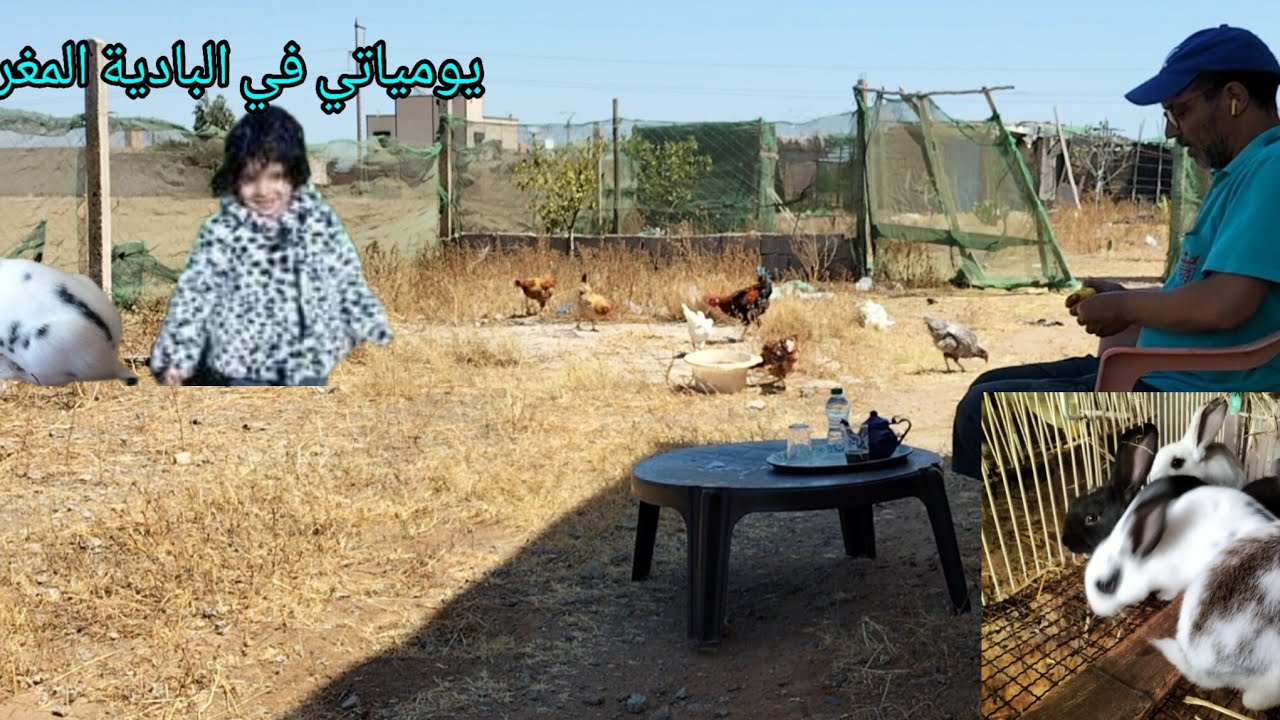 جولة في الدوار #الارانب#،الدجاج مع ثمن كهربة العالم القروي 🕵️