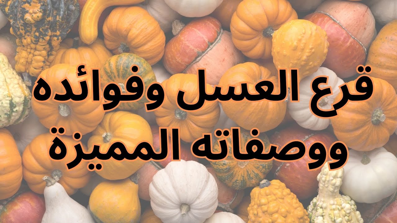قرع العسل وفوائده ووصفاته المميزة