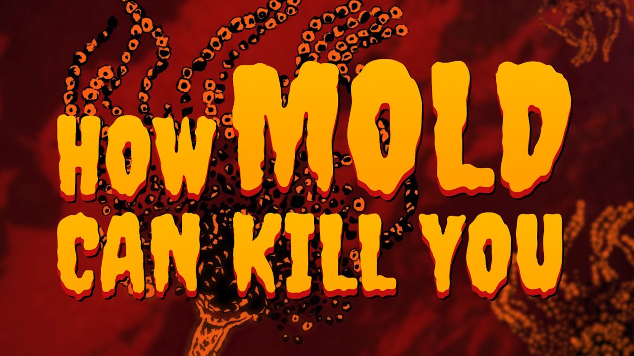 How Mold Can Kill You | True Horror | Gizmodo