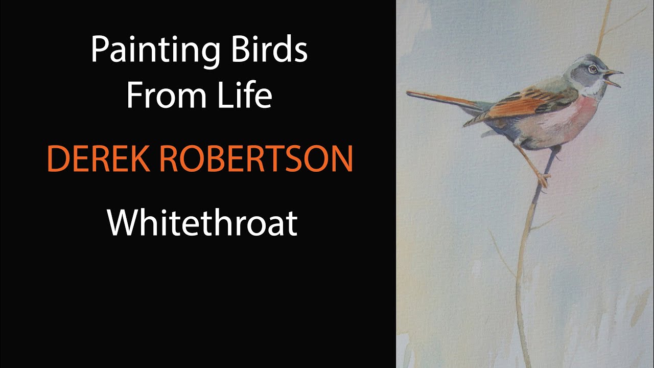 Painting birds from life in watercolor / See the creative process / Whitethroat