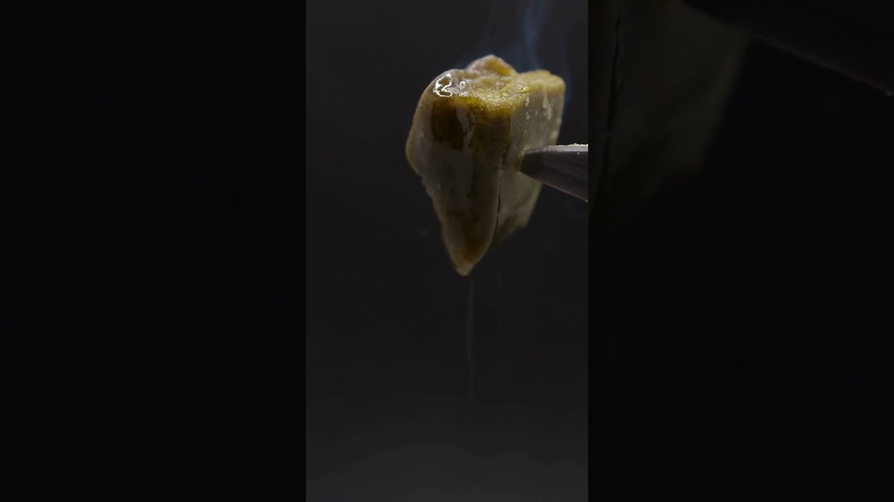Nuevo Static Hash by The Tree CBD