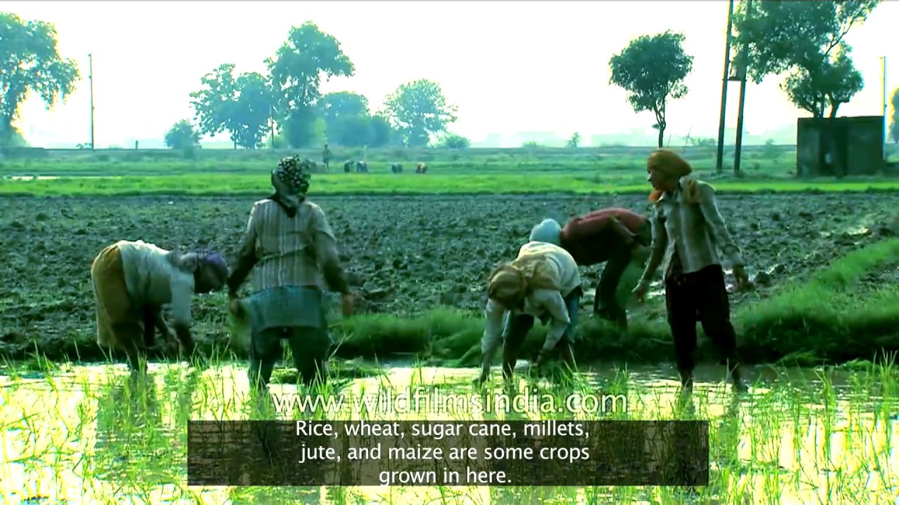 Northern Plains of India
