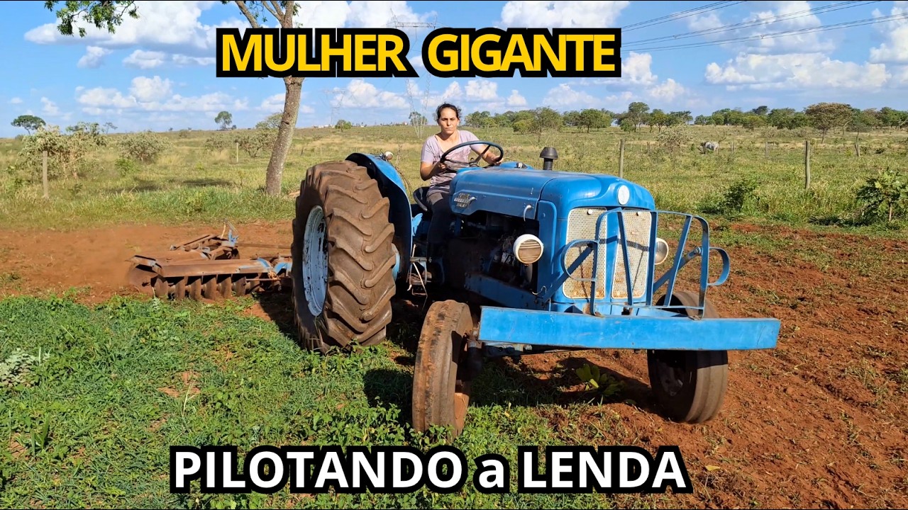 Exemplo na Roça. Ela Maneja o FORD MAJOR com Perfeição no Preparo de Terra