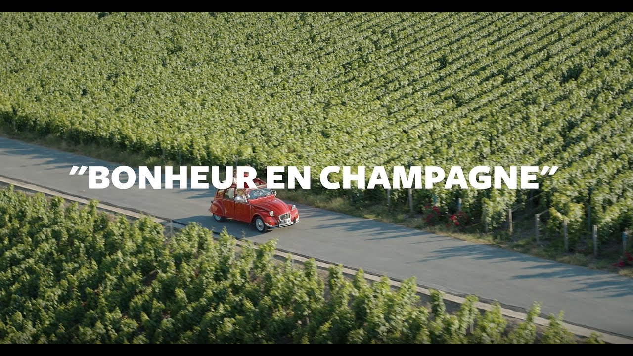 BONHEUR EN CHAMPAGNE - Epernay Agglo Champagne
