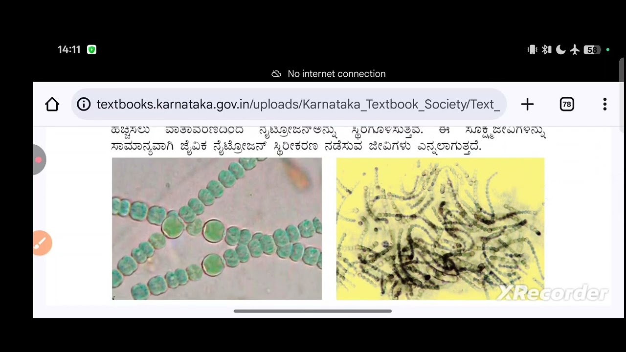 8ನೇ ತರಗತಿಯ ಅಧ್ಯಾಯ 2 ಸೂಕ್ಷ್ಮಜೀವಿಗಳು: ಮಿತ್ರ ಮತ್ತು ಶತ್ರು