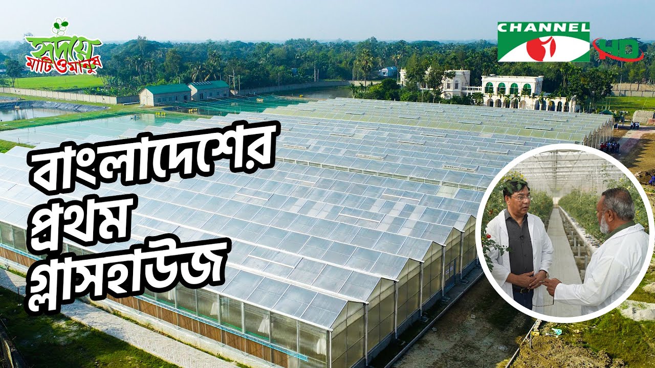 গ্লাসহাউজে রপ্তানিমুখী নিরাপদ যাত্রা | Shykh Seraj | Channel i |