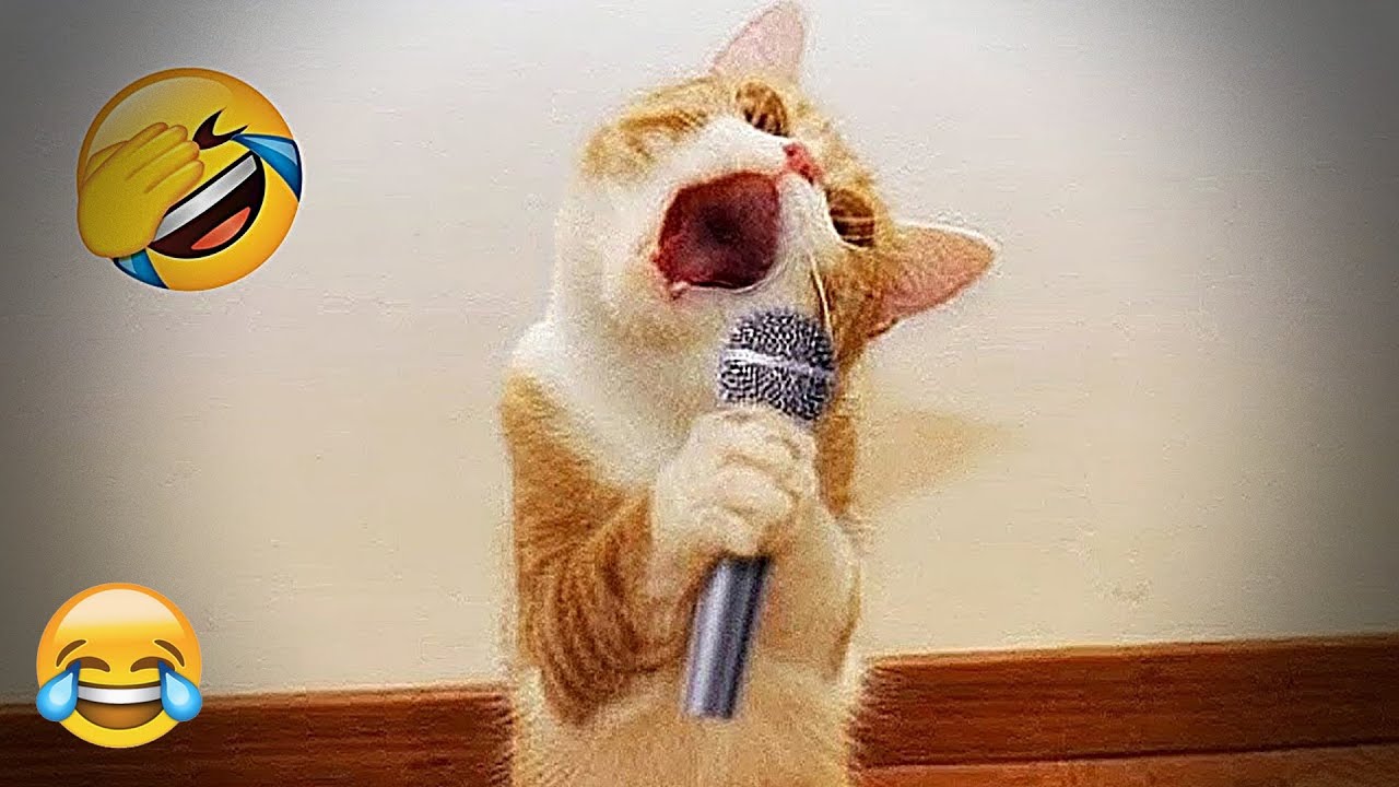 You Laugh You Lose 🤣 Funniest Cats and Dogs 2026🐶😹 Part 4