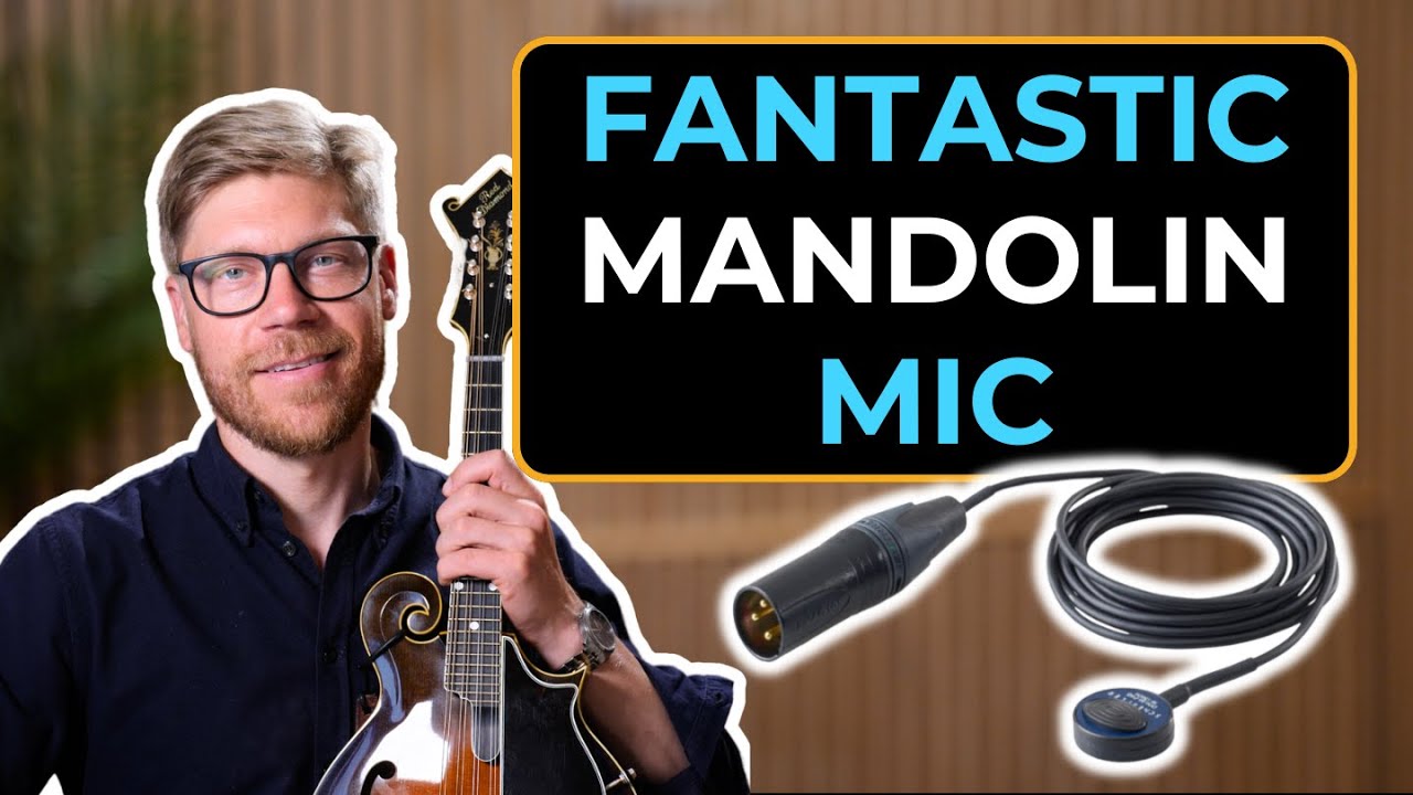 The Best Mandolin Mic For FX - Schertler DYN-M P48