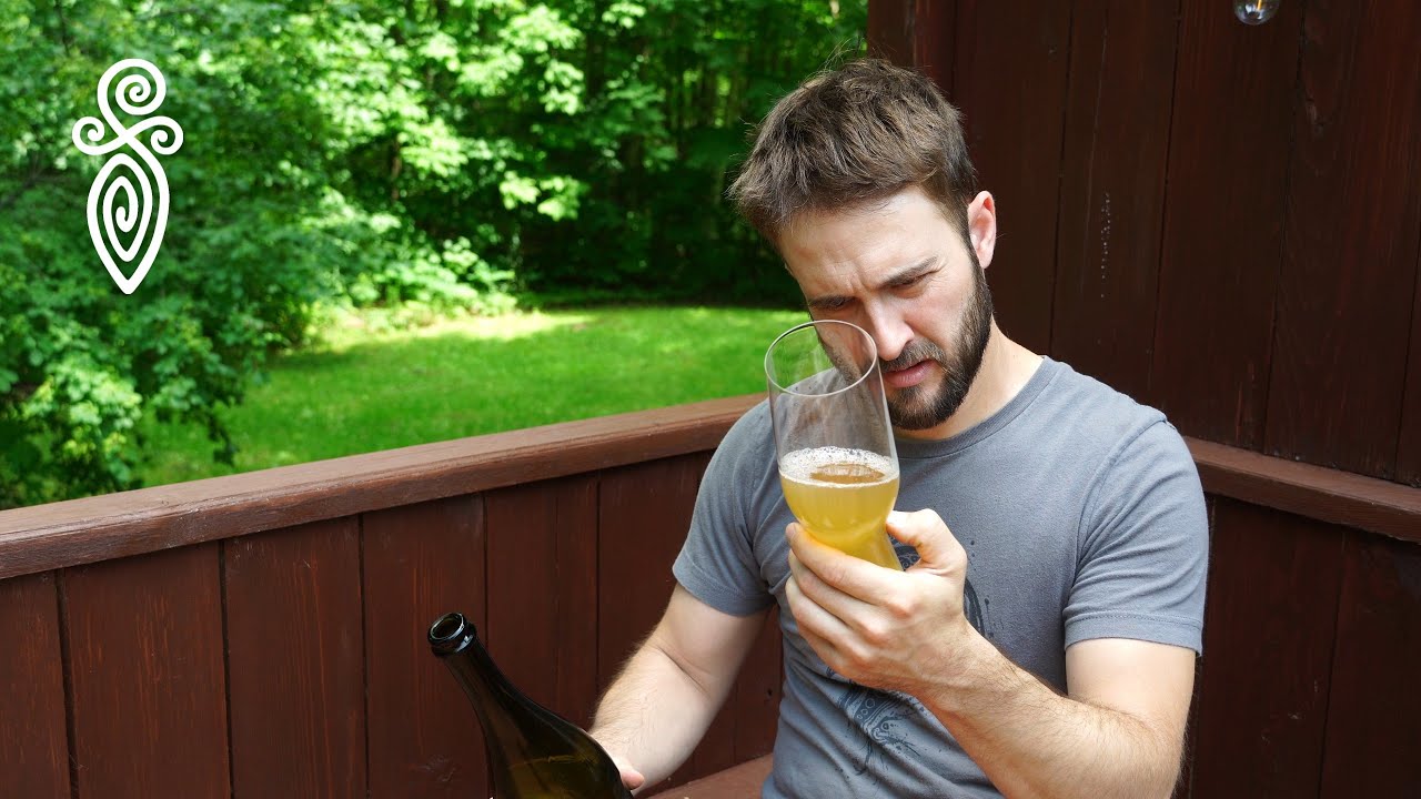 VIN de BOULEAU (volume 2)  #bouleau #vin  #bière