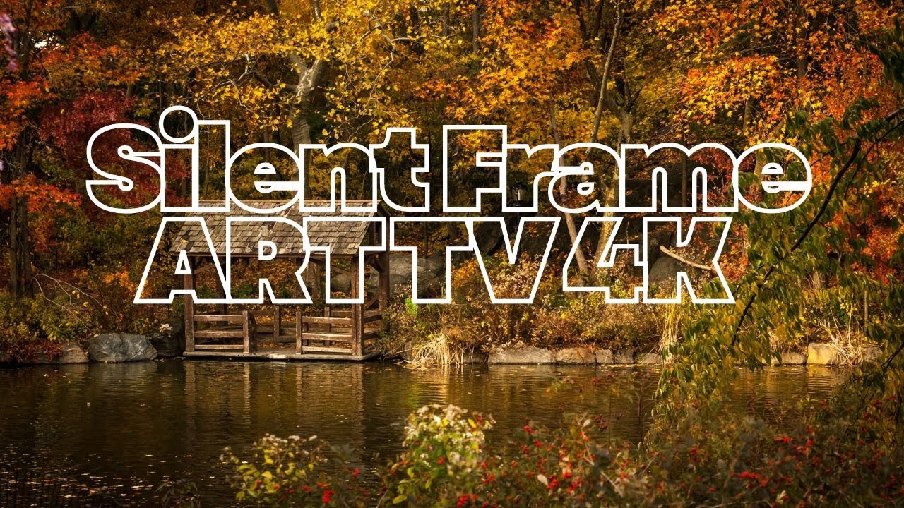 2 Hours of Silent Frame art tv: Stillness Between Falling Leaves wallpaper 4k