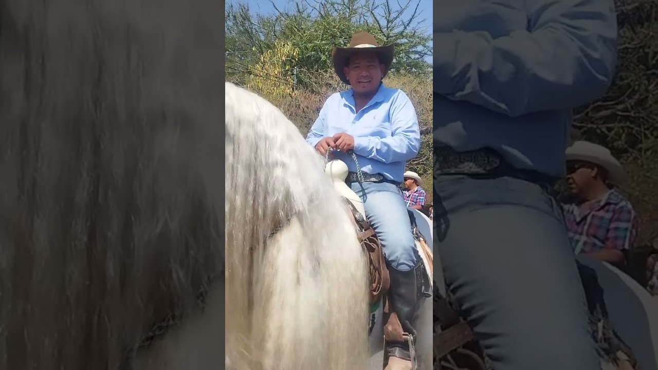 Caballos Espectaculares de primer Nivel, así lucieron en la cabalgata de Tilzapotla Morelos.