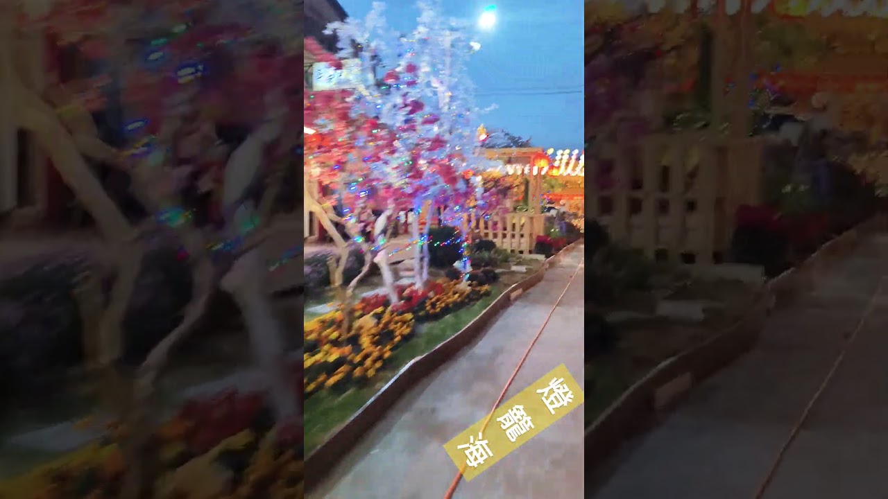 朴子 配天宮 御賜燈花