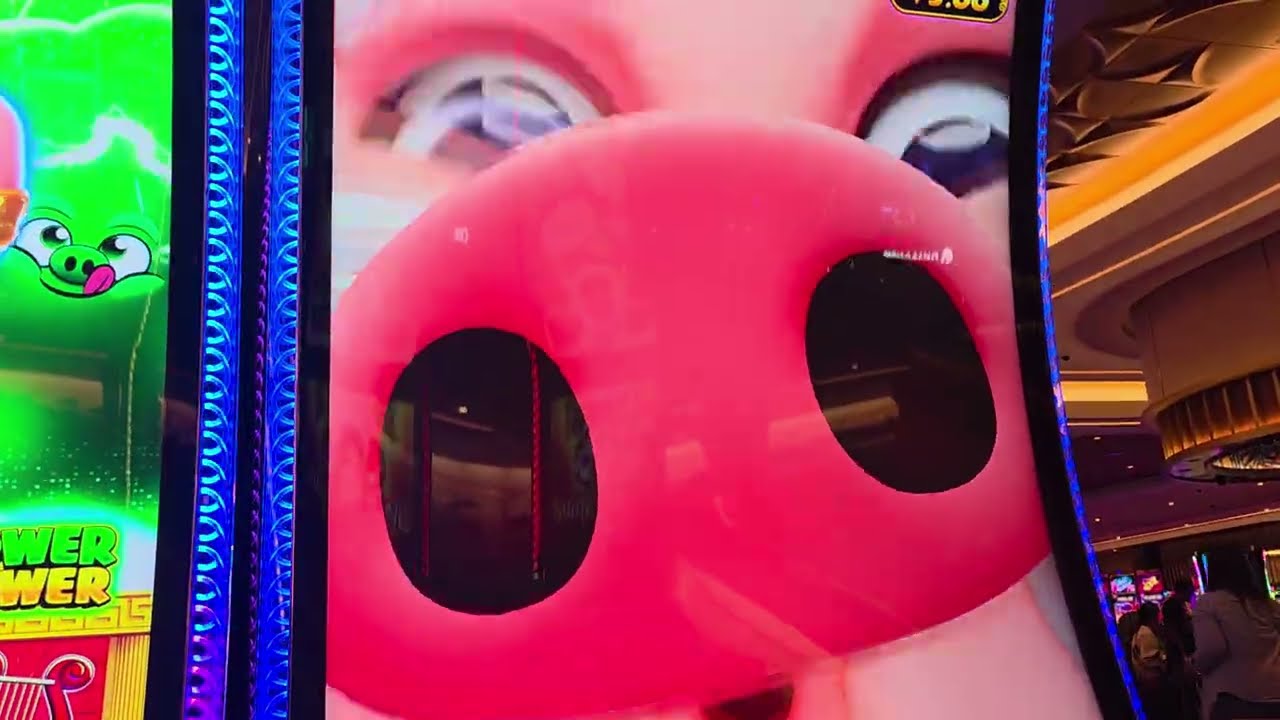 Power Pig Double Pop!
