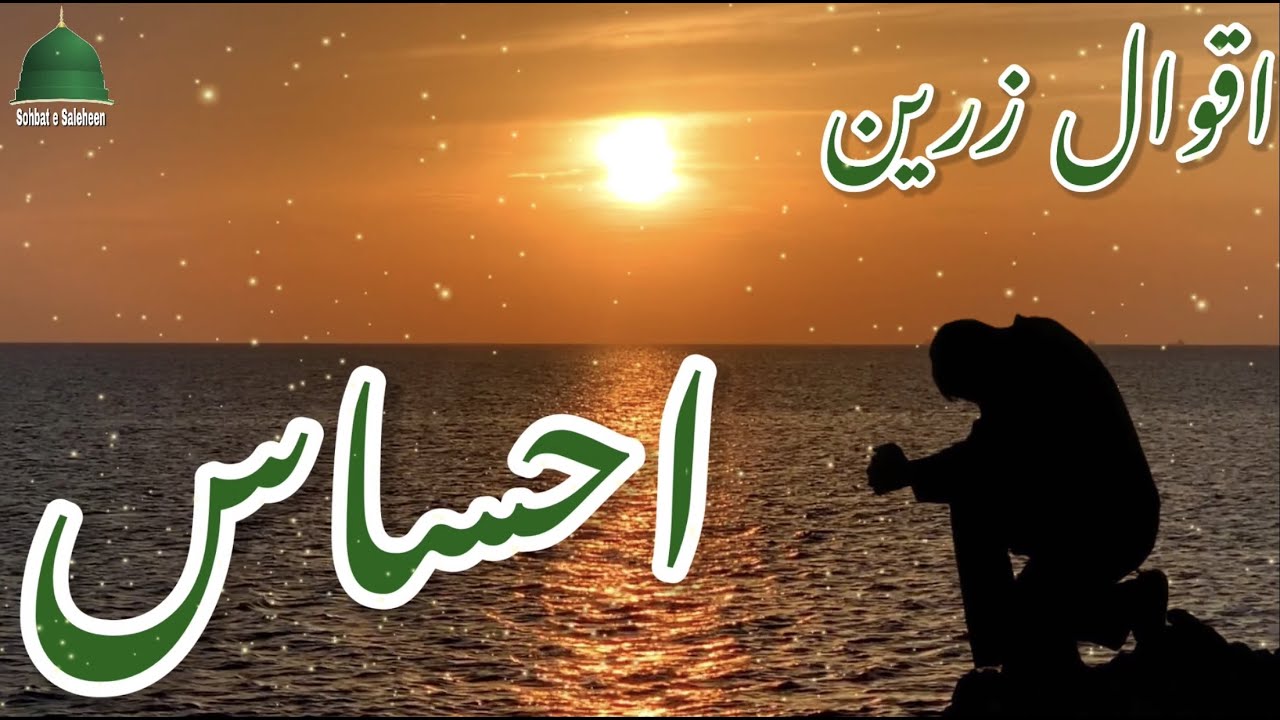 Ehsas | Beautiful Quotes on Feelings | Golden Words | Precious & Beautiful Quotes | Aqwale Zareen