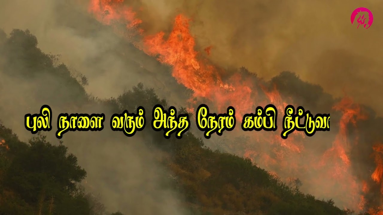 நடந்து வந்த பாதை தன்னை திரும்பிப் பாரடா - Nadanthu vantha pathai thannai
