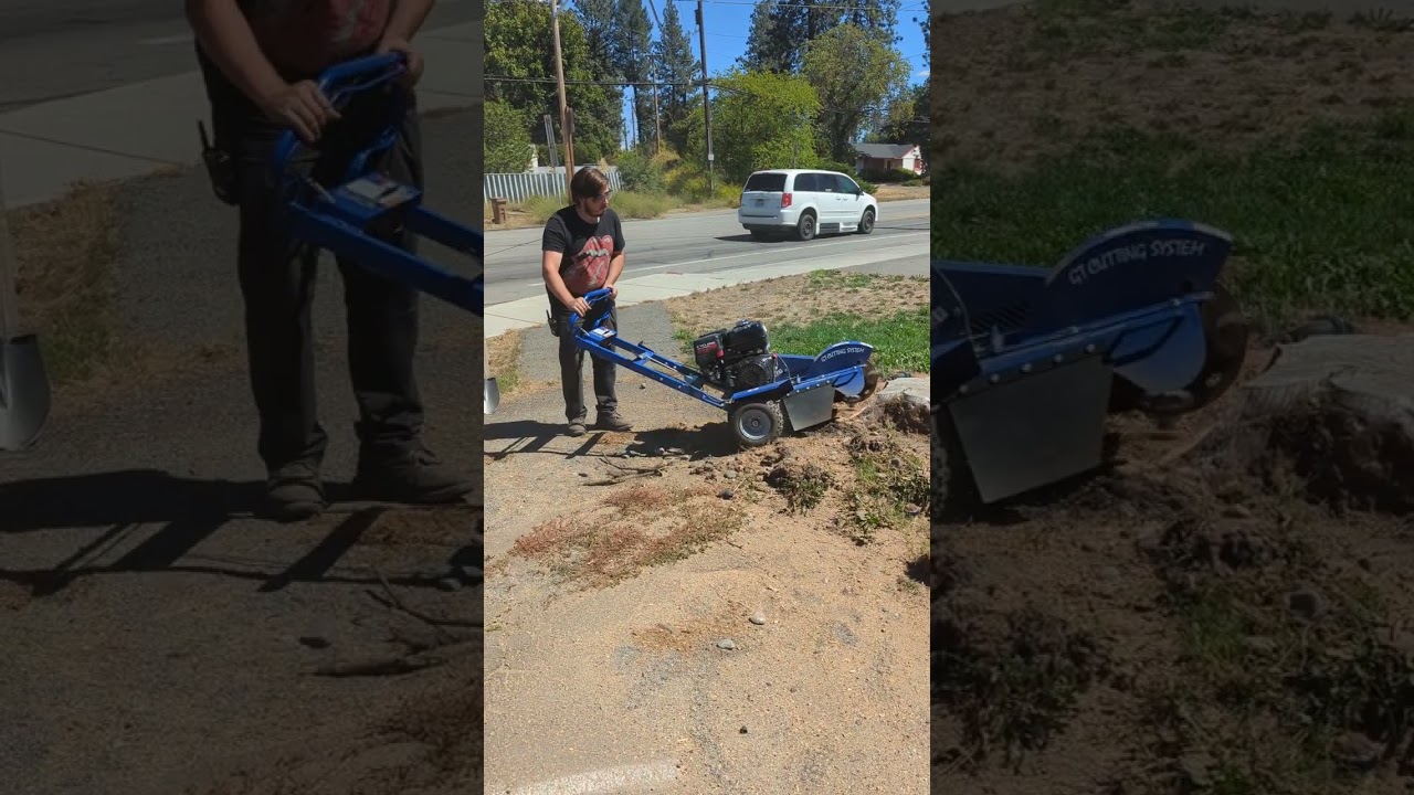 Bluebird Stump Grinder in Action