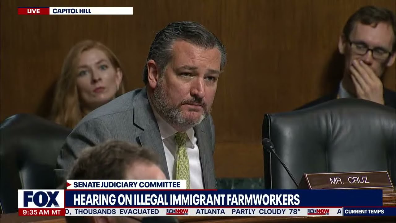 Ted Cruz attacks Democrats over immigration policy at Senate hearing | LiveNOW From FOX