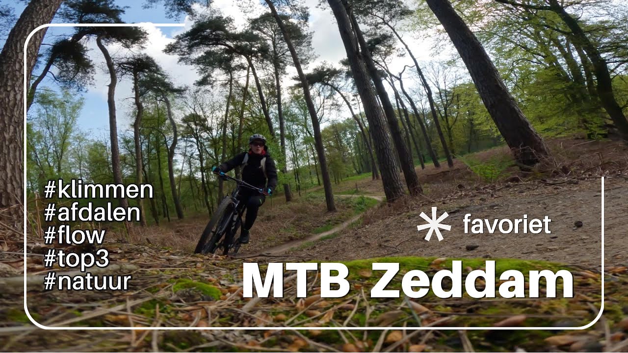 MTB Zeddam (Montferland) || klimmen & heerlijk afdalen || Favoriet || Top3
