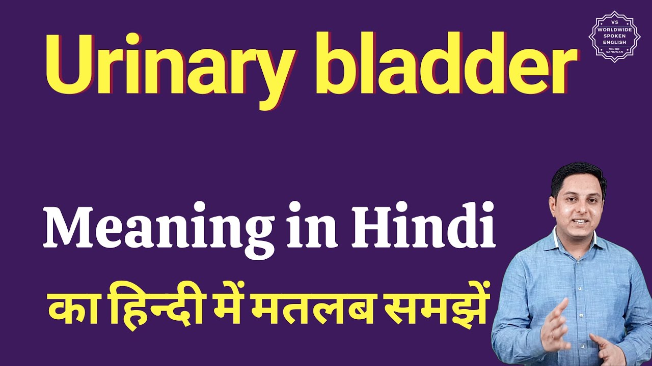 Urinary bladder meaning in Hindi | Urinary bladder ka matlab kya hota hai