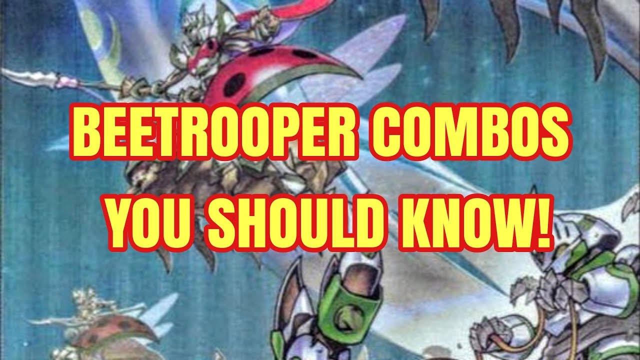 Yu-Gi-Oh! BEETROOPER COMBOS YOU NEED TO KNOW! 🐞
