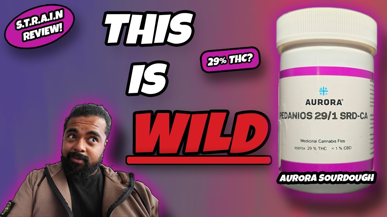 UK Legal Medical &ndash; Mamedica &ndash; Aurora Sourdough Review #ukcannabis #strainreviews #cannabiseducation