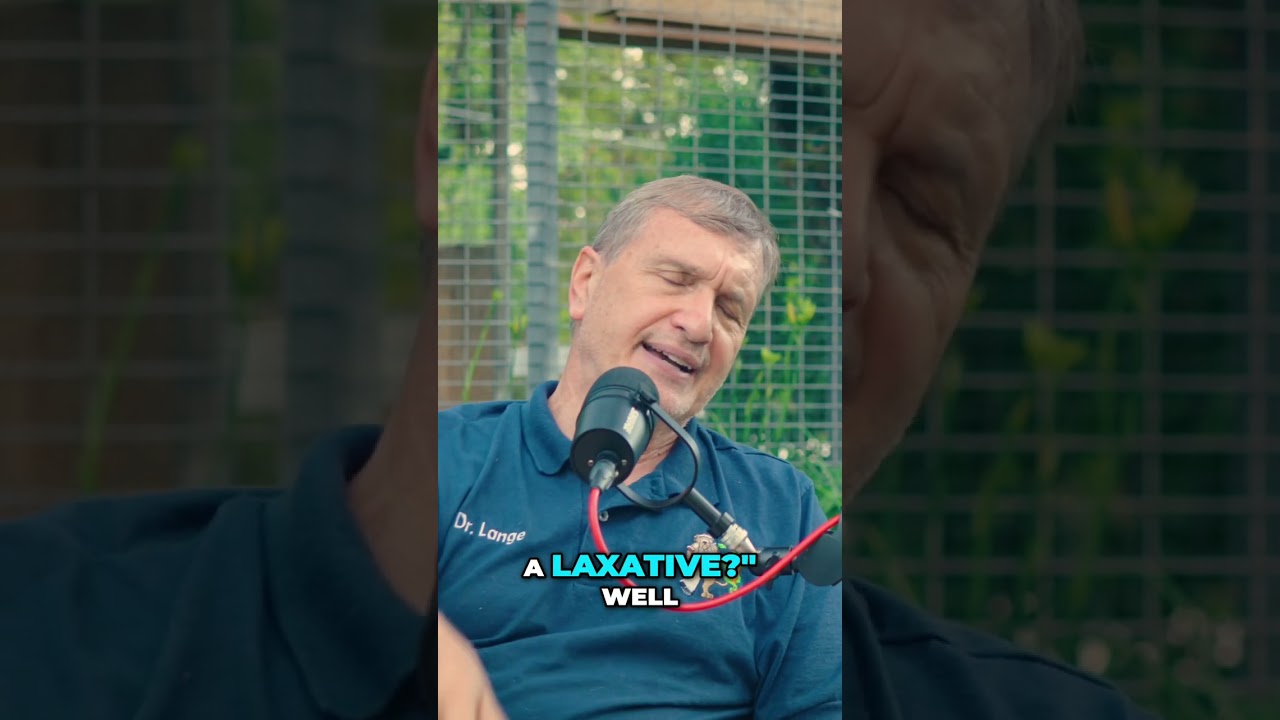 Urinary Blockage vs Constipation: How to Save Your Cat's Life #shorts