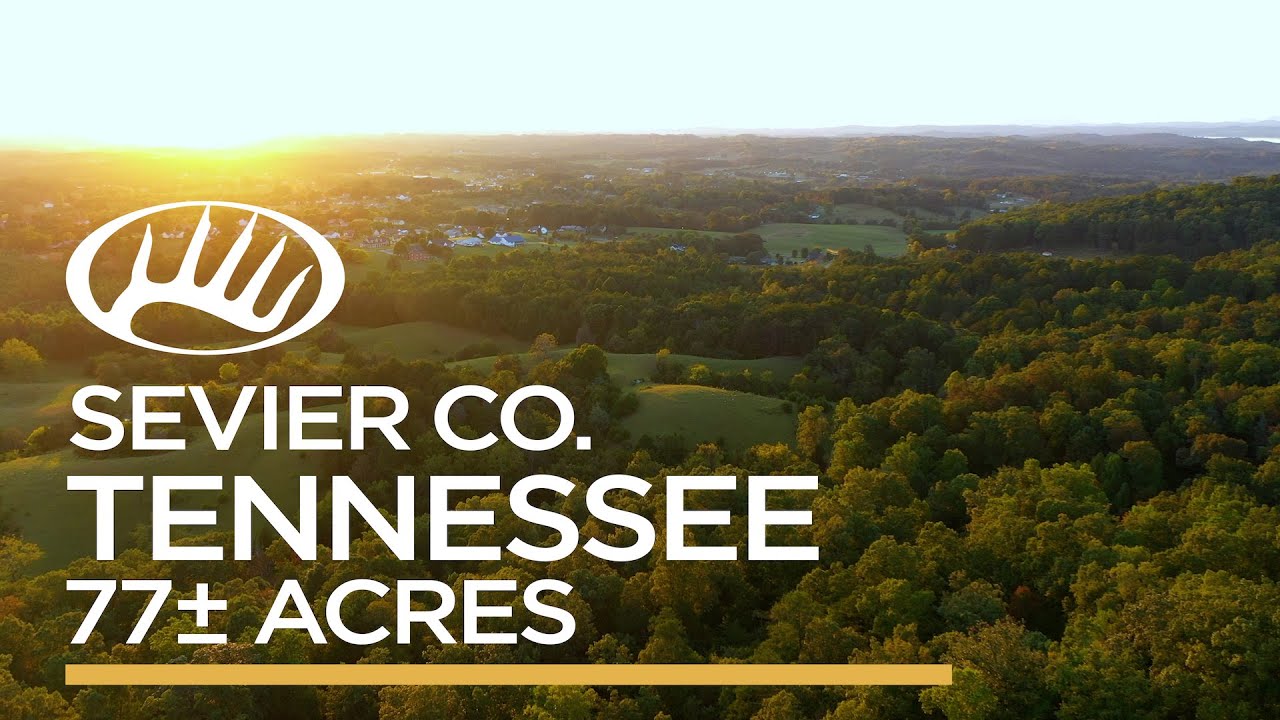 Sevier County, TN 77&plusmn; Acres
