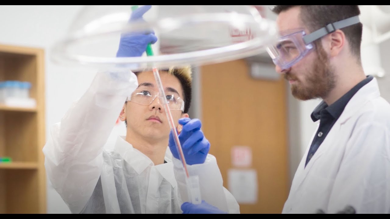 Bachelor of Biological Engineering &mdash; High-paying jobs