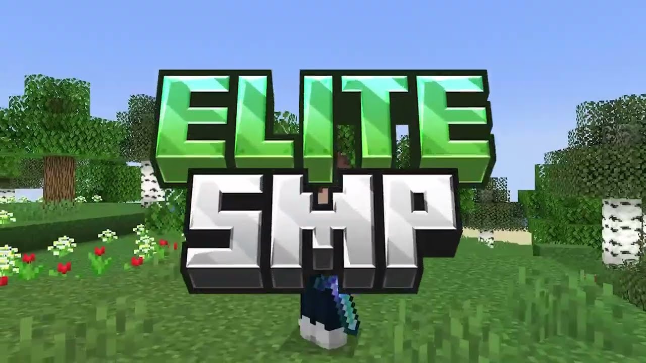 Elite SMP Minecraft's Most OP SMP | Applications Open