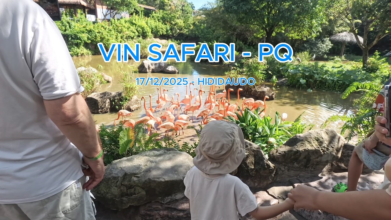 PQ 05 - Vin Safari | Hi Đi Đâu Đó
