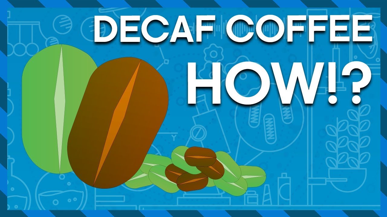 Coffee Without Caffeine | Greg Foot | Earth Science