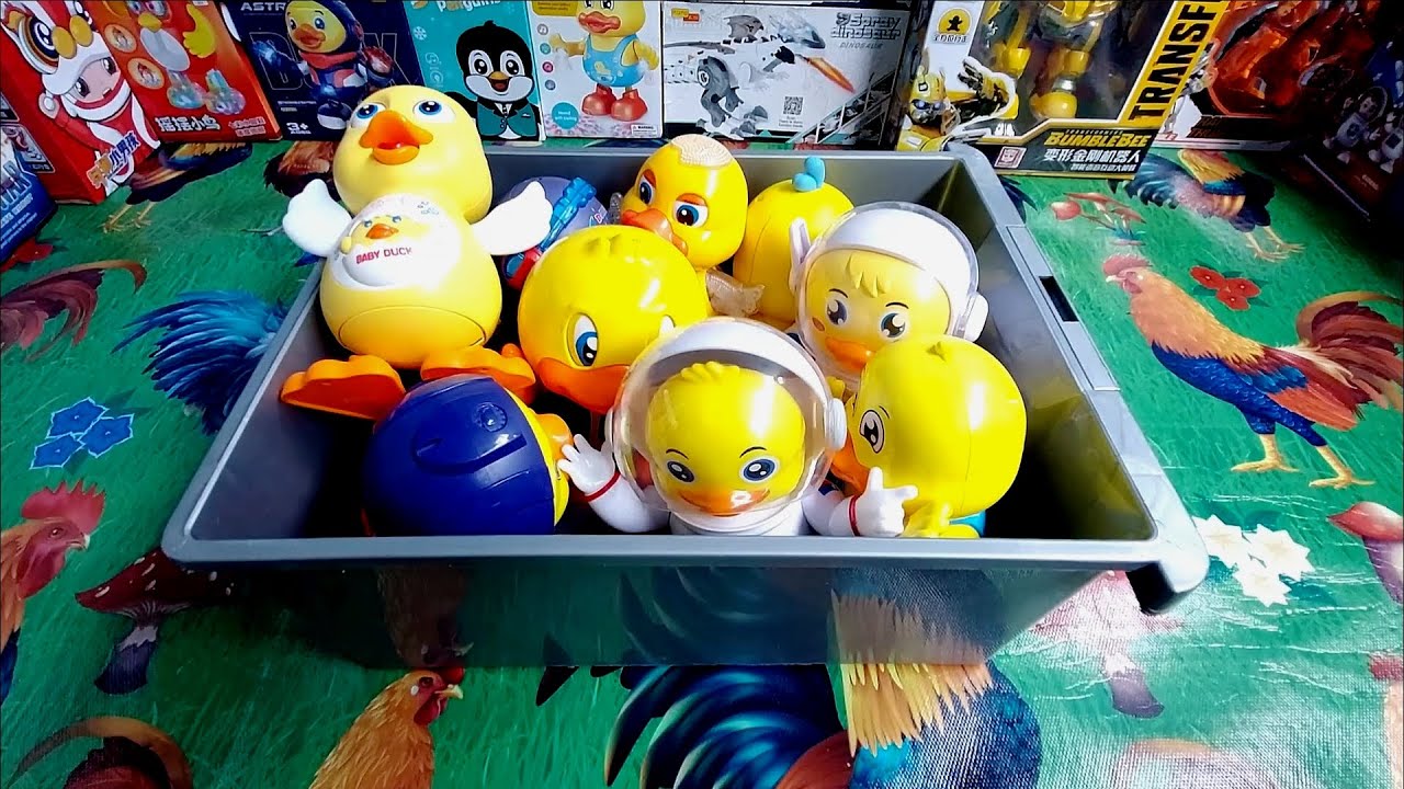9 bebek joget