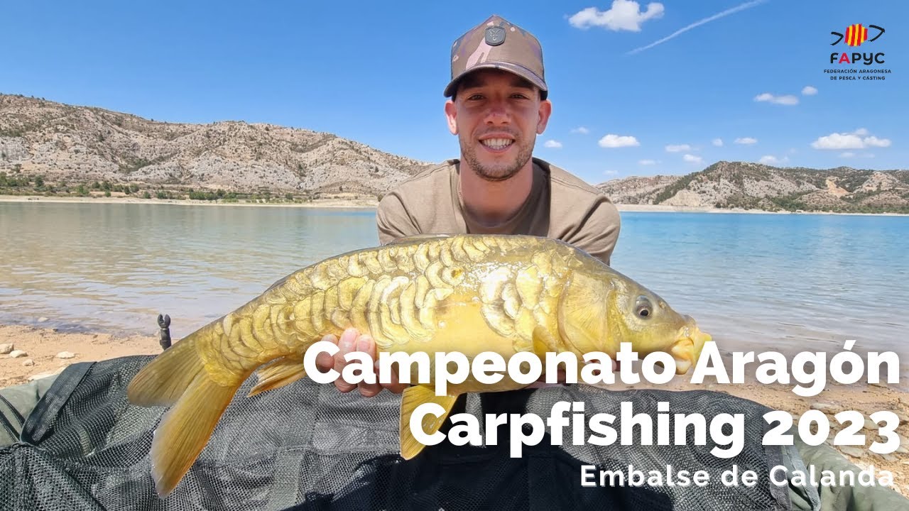 Manga Clasificatoria Cto Aragón Carpfishing. Calanda