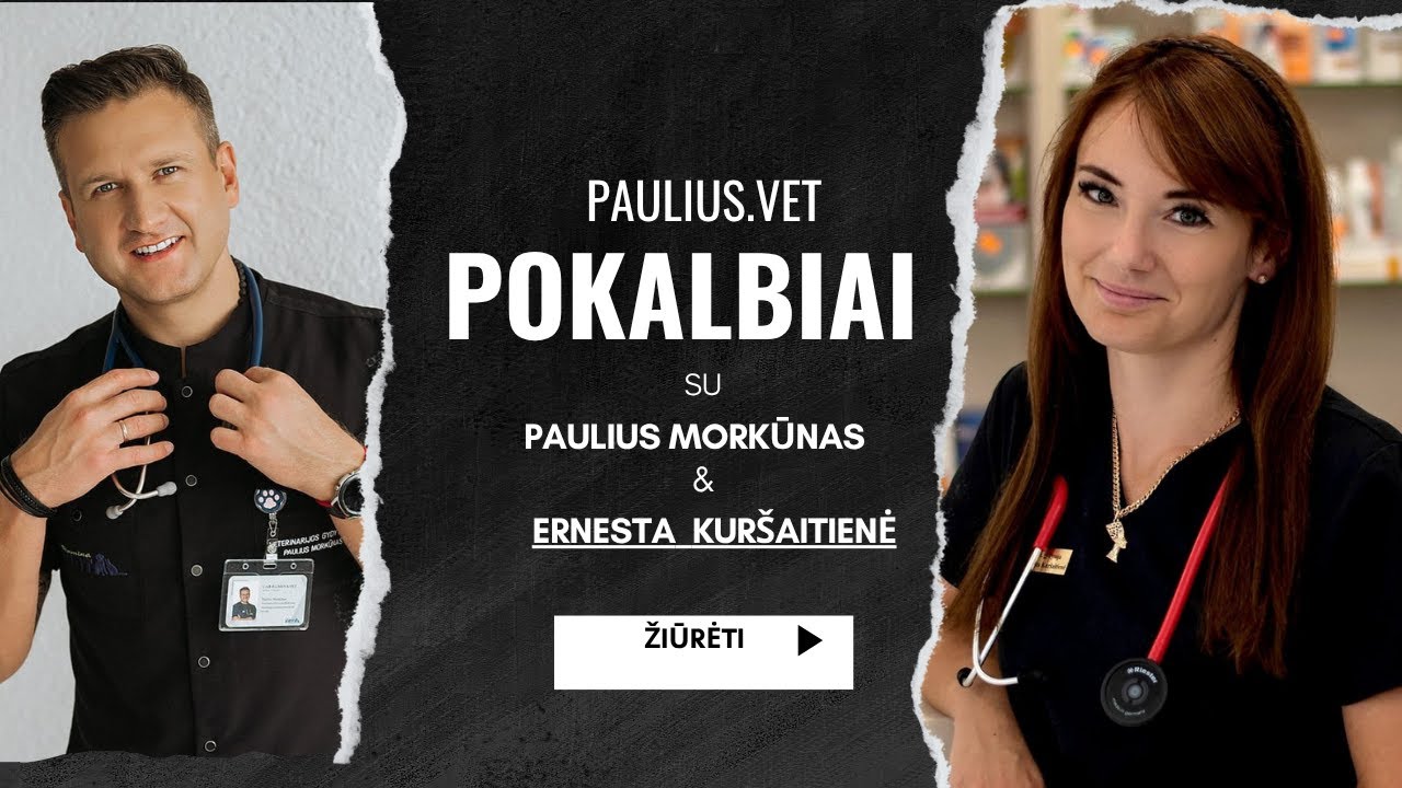 Pauliusvet #11 Svečiuose gyvūnų onkologė Ernesta Kuršaitienė