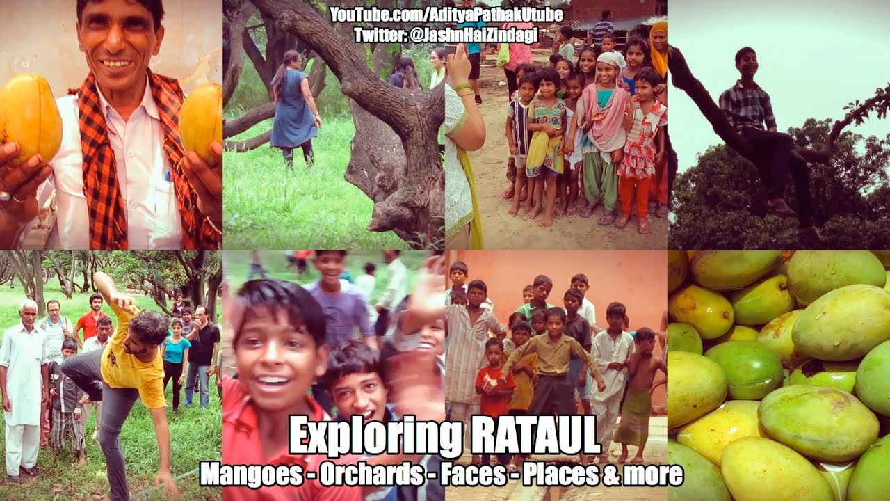 Rataul - Mangoes, Orchards, Faces, Places and more!