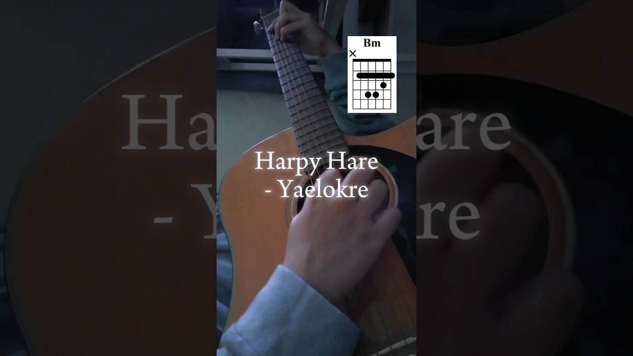 Harpy Hare - Yaelokre // Guitar Chords