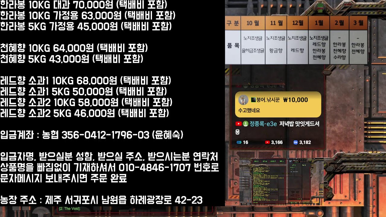 26.2.24(화) [로카] 스타 빨무 스타크래프트 빠른무한 Starcraft