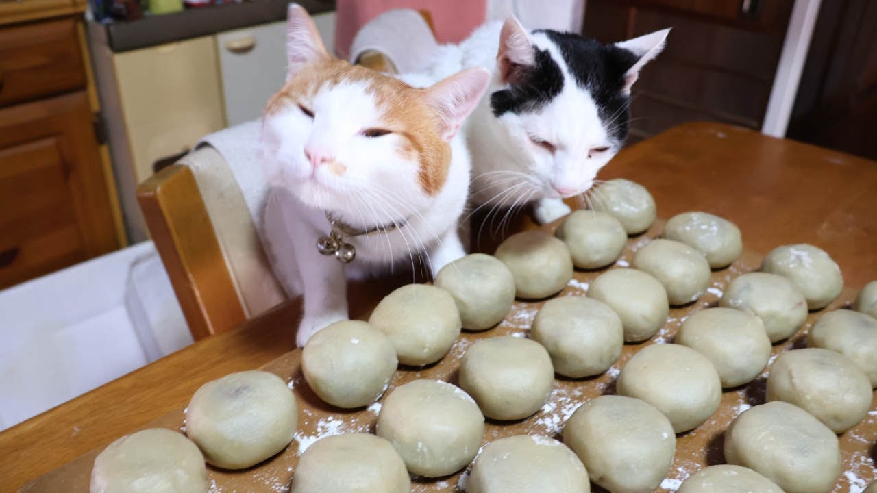 ちびちろもふと正月まんじゅうつくり　230119