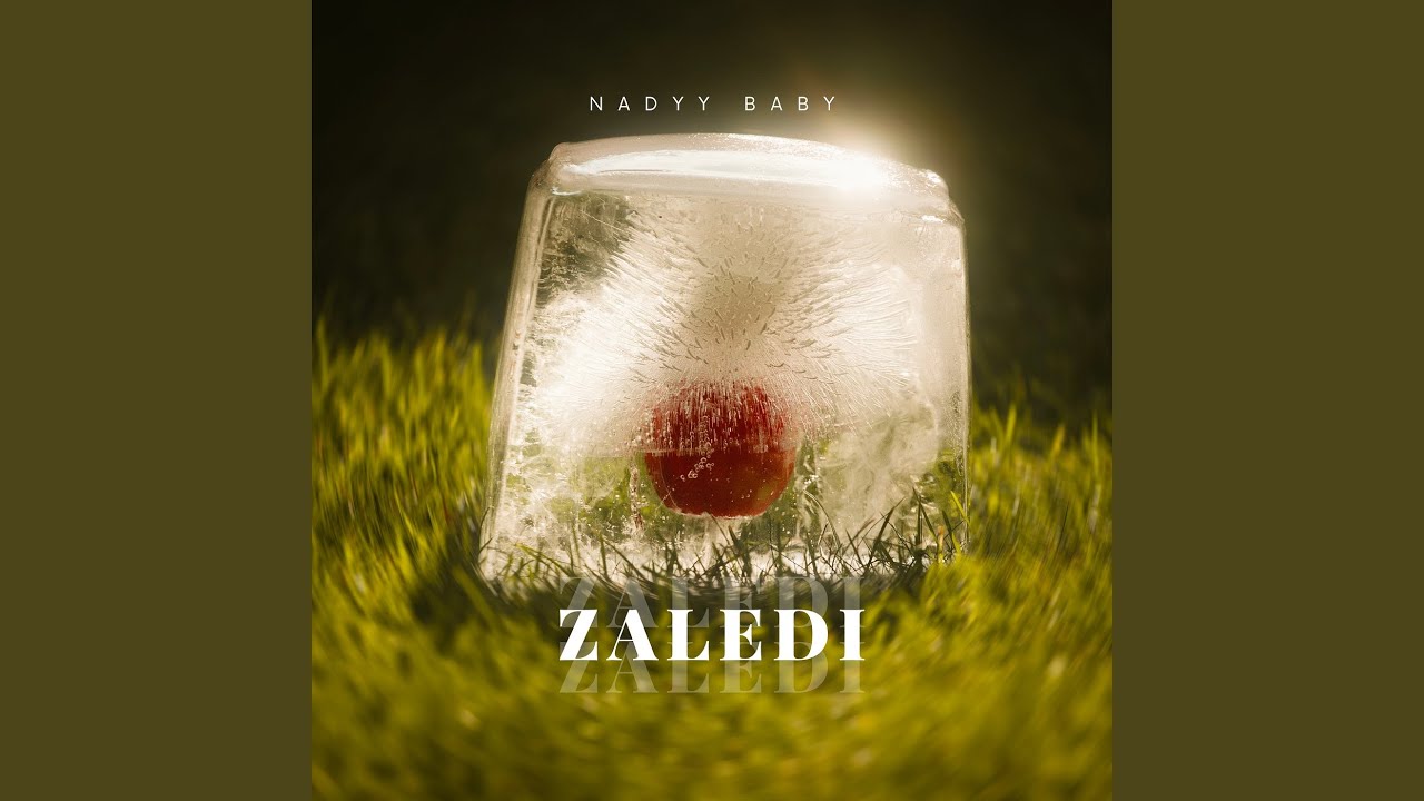Zaledi