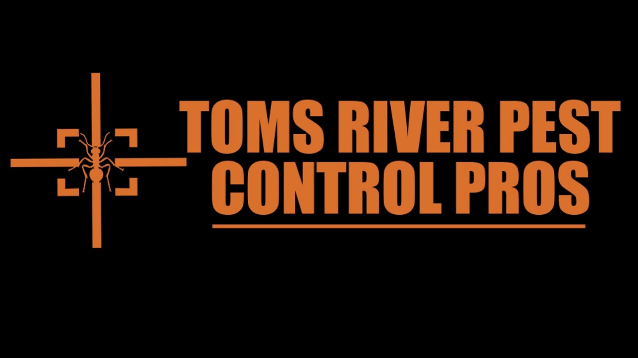 Toms River Termite Exterminator