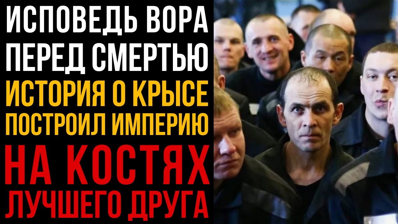 Вор Перед Смертью Раскрыл Свою Самую Страшную Тайну Друг Оказался Крысой  I Колония Жизни