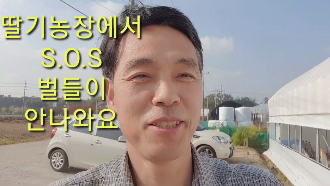 1탄, 딸기농장 수정용 양봉벌이 밖으로 안나와요 SOS