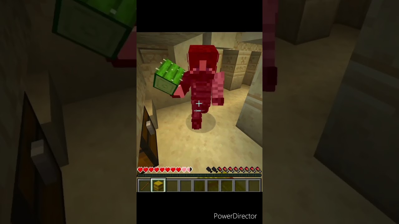 Minecraft diamond hunt (part 3) 💎