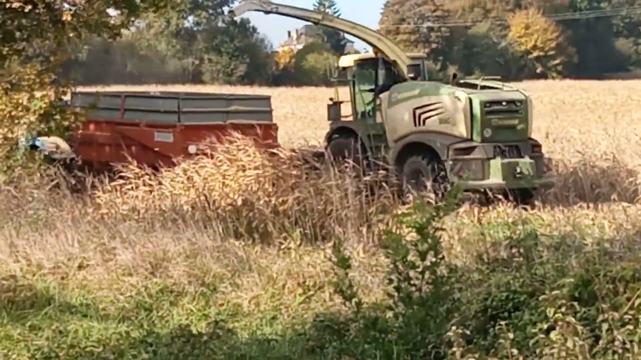 automne  travaux des champs à Treigny