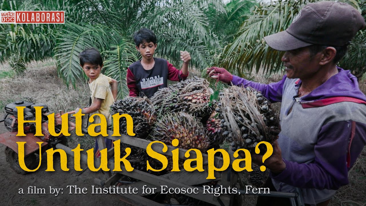 HUTAN UNTUK SIAPA?