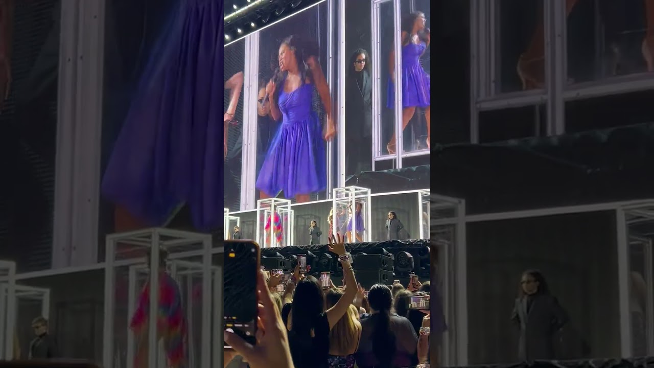 Taylor Swift - Eras Tour - Don't Blame Me + Look What You Made Me Do (Clips) - Kansas City N2-7/8/23