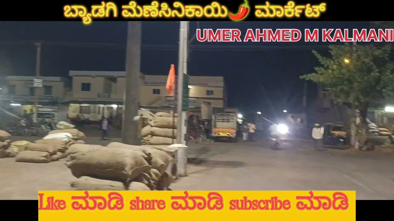 Byadgi APMC Night Arrival | ರೈತರ ಮಾಲು ಮಾರುಕಟ್ಟೆಗೆ ಆಗಮನ | Byadgi Chilli Market