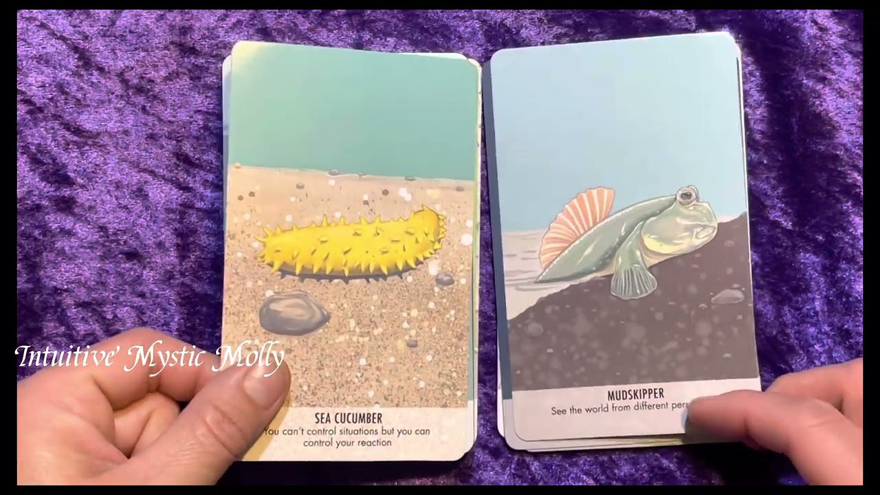 Unusual Animal Messages Oracle by Manda Comisari