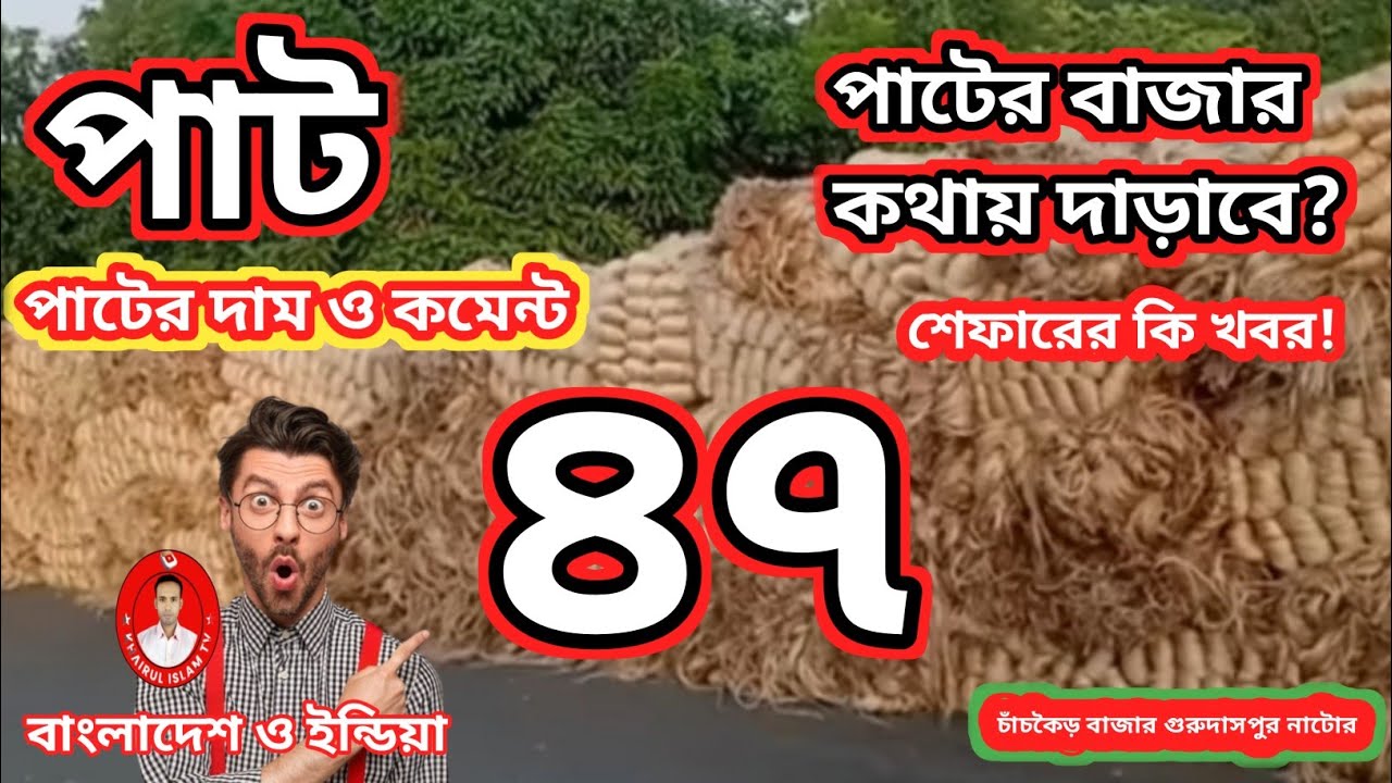 আজকের পাটের দাম ও কমেন্ট | ২৫-০১-২৬ | বাংলাদেশ ও ইন্ডিয়া | Jute Price Today